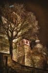 hdr_durerpl-burg-051_tm