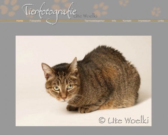 screenshot-tierfoto
