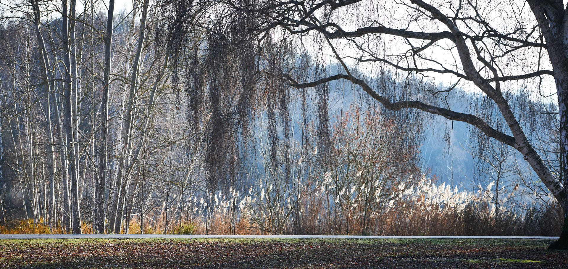 Herbst am Dutzendteich